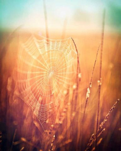 tumblr_nfpd0k2yOc1u2i8ono1_400