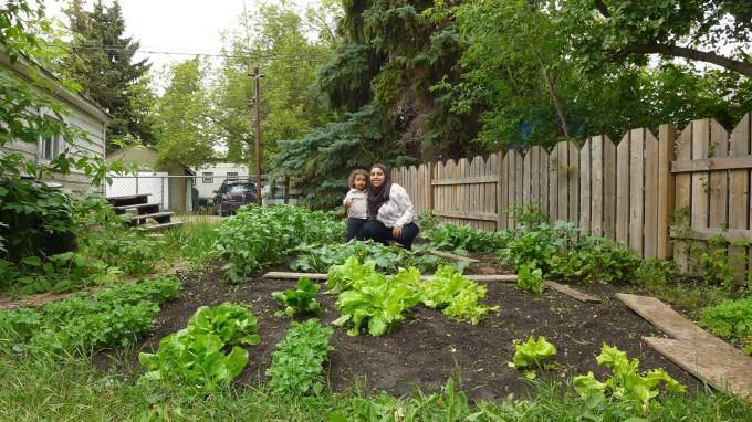 11741136_10153395887616233_736052663762112096_o