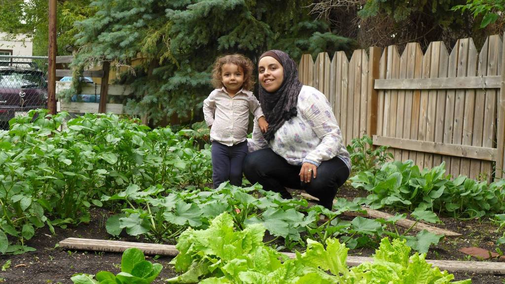 11782273_10153395887511233_5051783196379558656_o