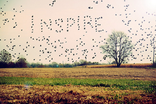 tumblr_lhm72fNuP71qe6uhf