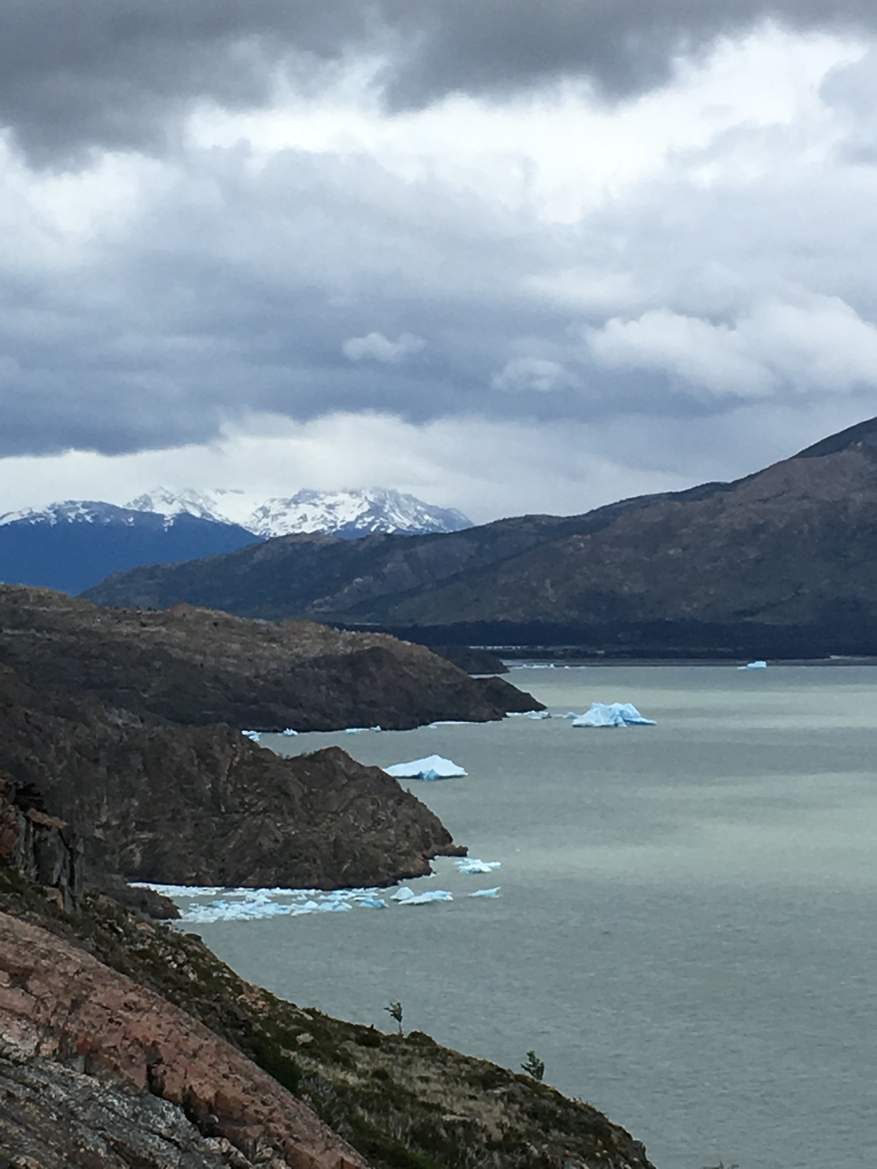3. Grey Glacier hike